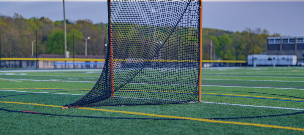 Synthetic turf field with goal