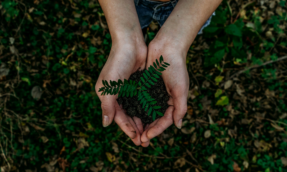 Schupan Recognized as 2024 West Michigan Sustainable Business of the Year Honoree